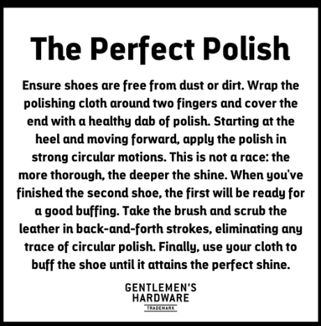 Shoe Shine Kit