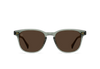 Alvez - Pinyon Grove_Vibrant Brown Polarized