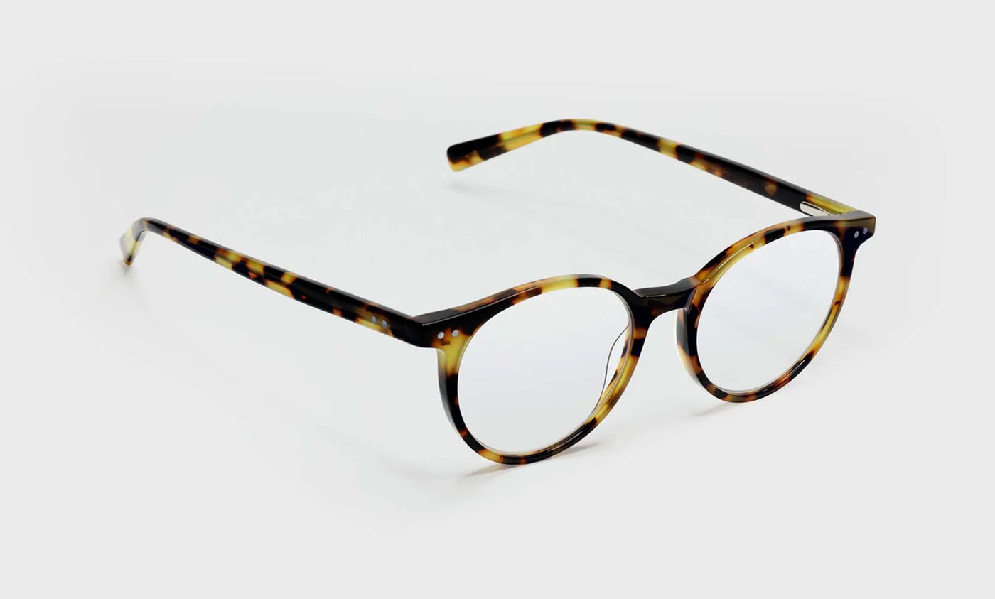 Case Closed Readers - Tortoise