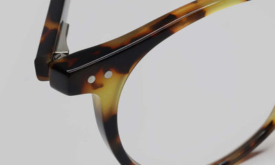 Case Closed Readers - Tortoise