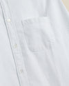 Brushed Oxford Stripe - Light Blue