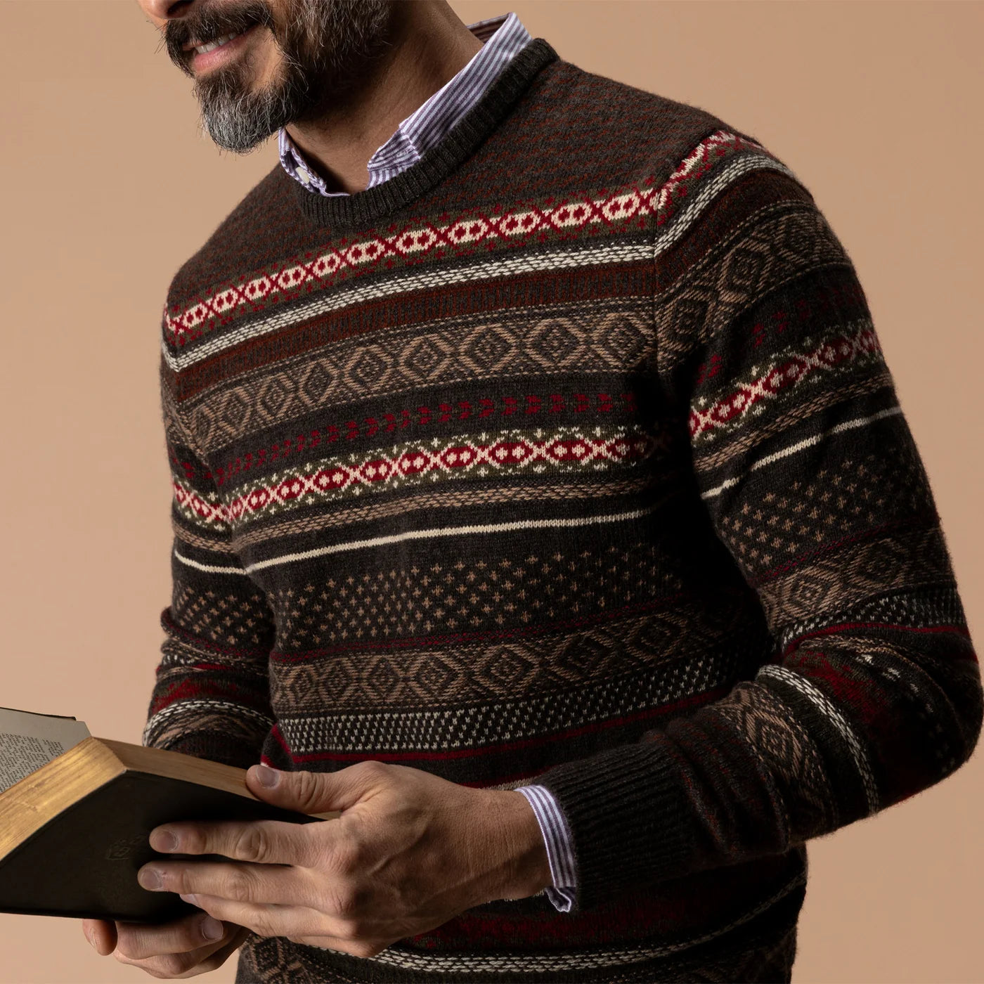 Birch Fair Isle Crewneck Sweater - Espresso Brown