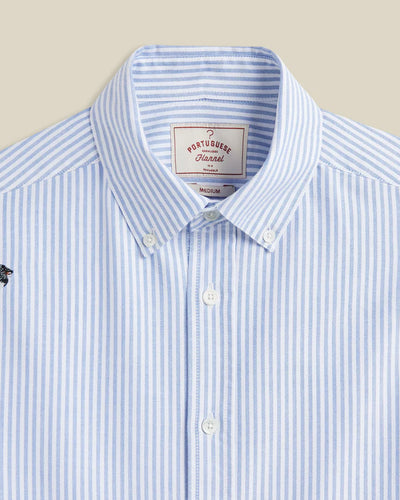 Dog's Oxford - Blue Stripe