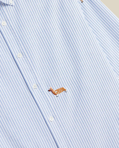 Dog's Oxford - Blue Stripe