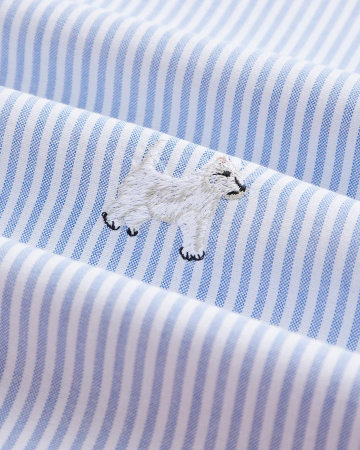 Dog's Oxford - Blue Stripe