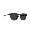 Remmy 49 - Oak_Smoke Polarized