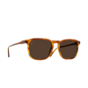 Wiley - Santa Fe Tortoise_Vibrant Brown Polarized