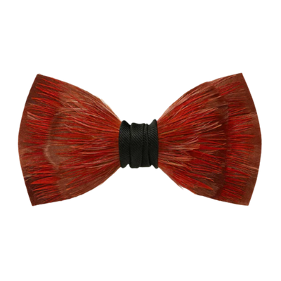 Cruise Bow Tie - Goose & Pheasant Feathers