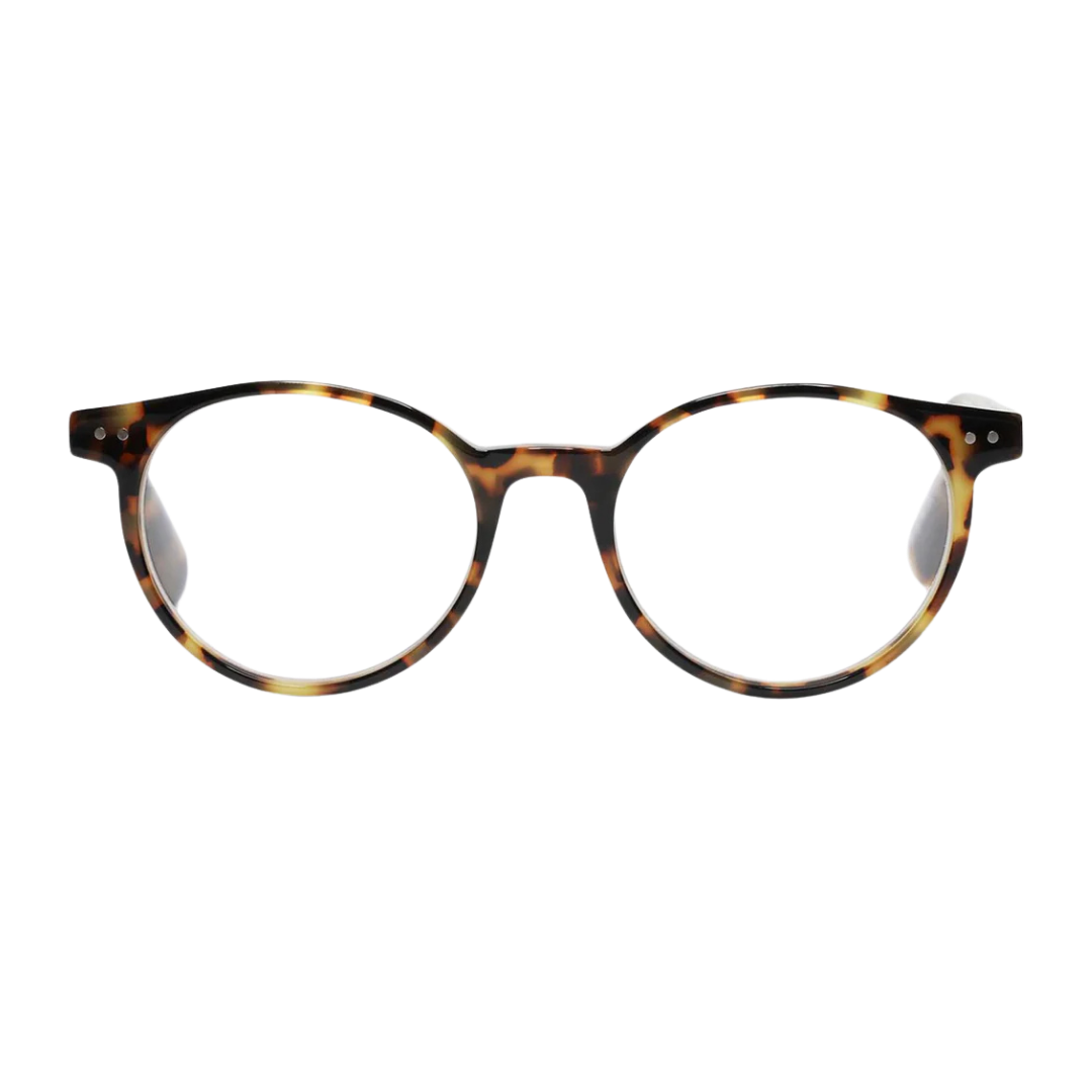 Case Closed Readers - Tortoise