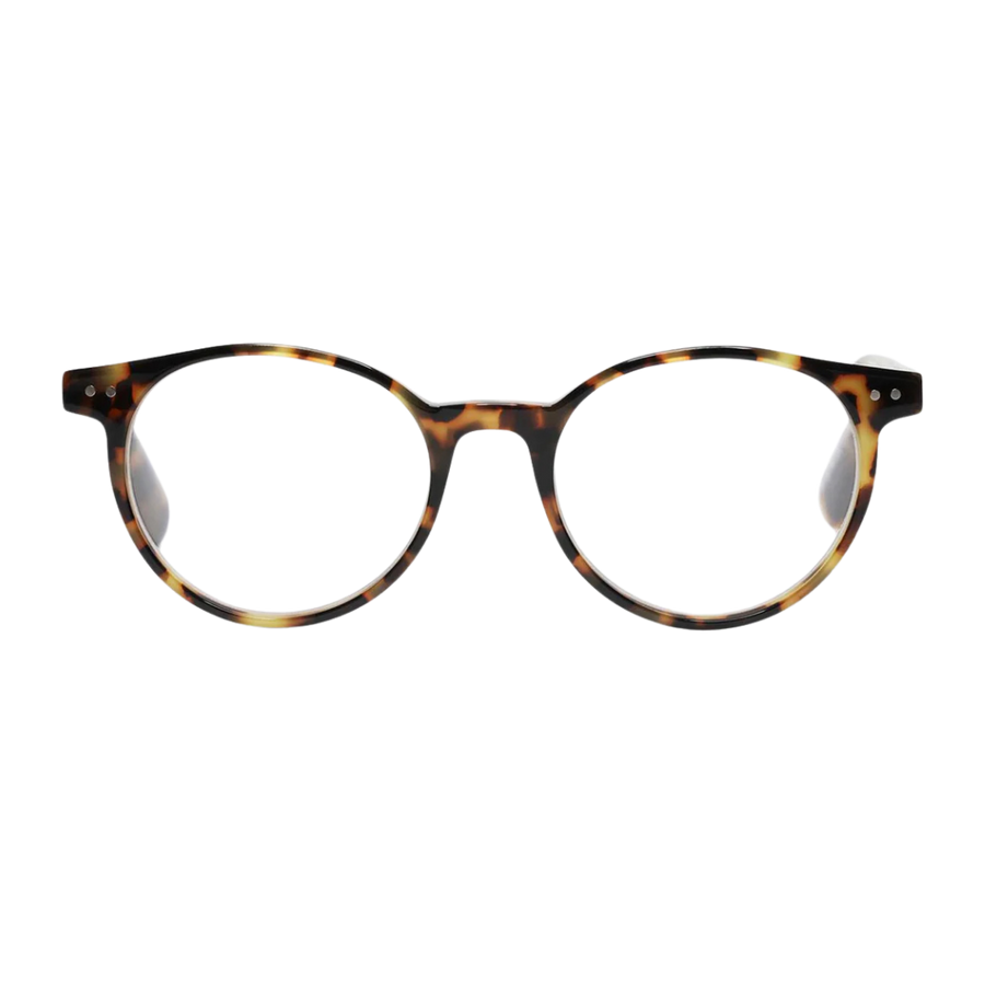 Case Closed Readers - Tortoise