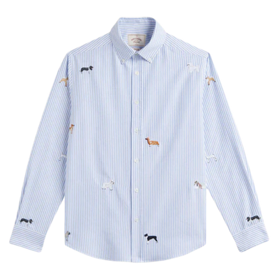 Dog's Oxford - Blue Stripe