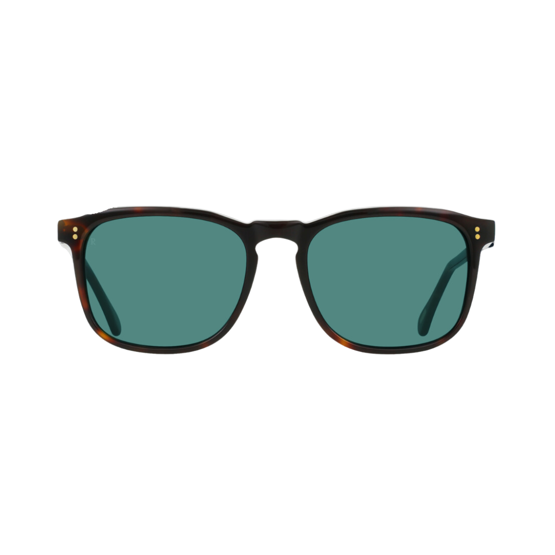 Wiley - Kola Tortoise_Pacifica