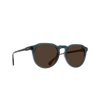 Remmy 49 - Cirus_Vibrant Brown Polarized