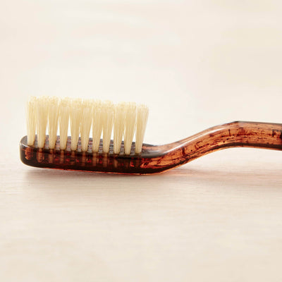 C.O. Bigelow Natural Bristle Toothbrush
