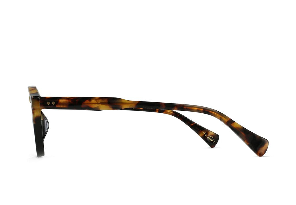 Rollo - Tamarin_Dark Smoke