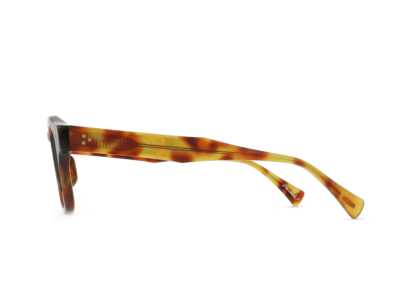 Rune - Split Finish Moab Tortoise_Green Polarized