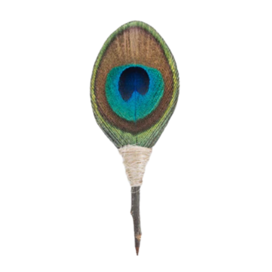 Jekyll Lapel Pin - Peacock Feathers