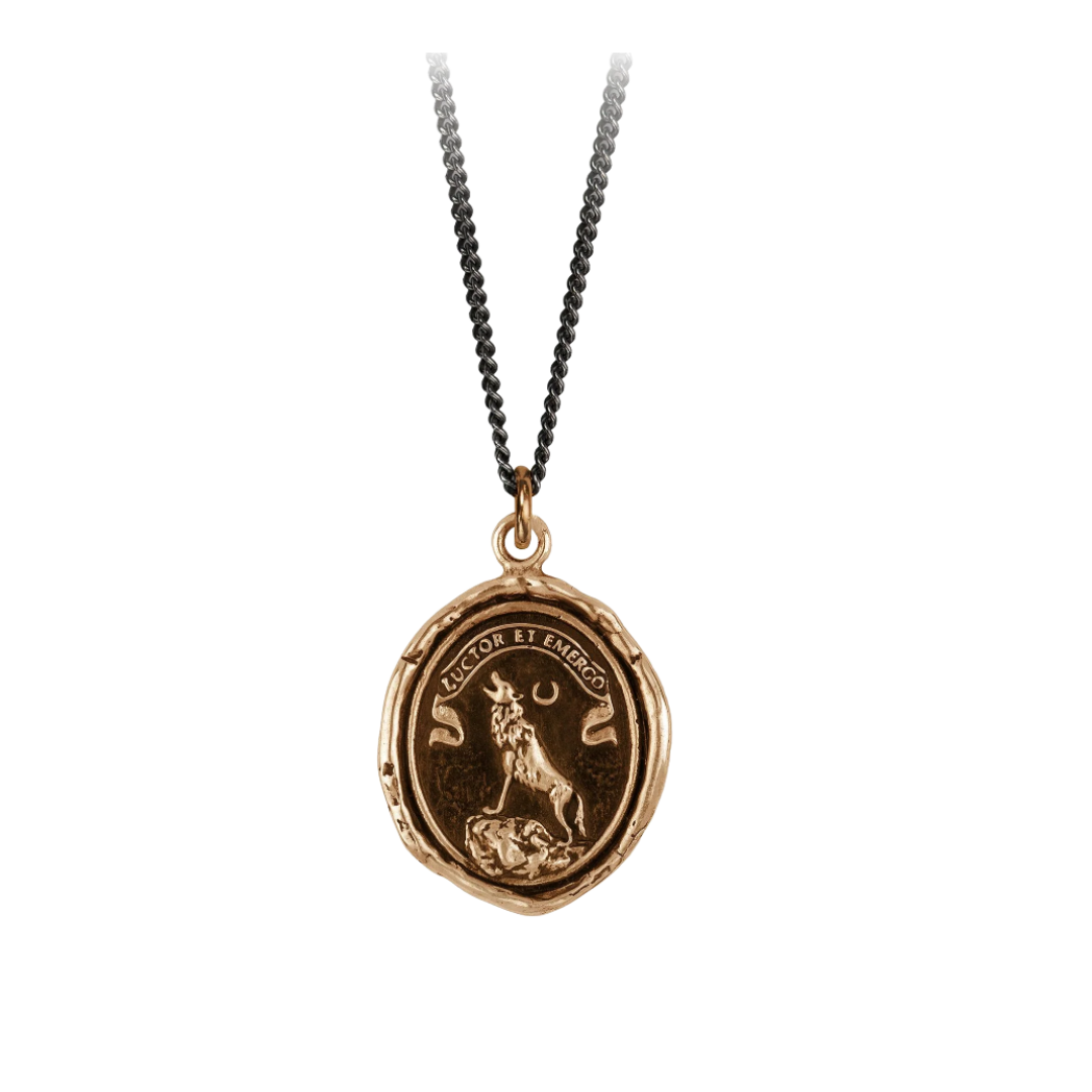 Bronze Talisman Necklace - Struggle & Emerge