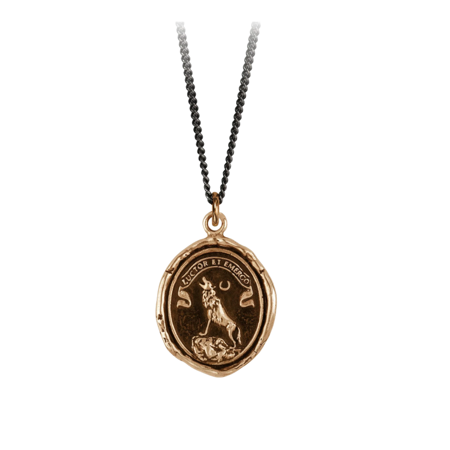 Bronze Talisman Necklace - Struggle & Emerge