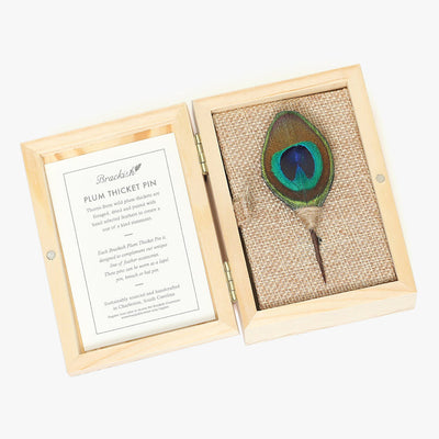 Jekyll Lapel Pin - Peacock Feathers