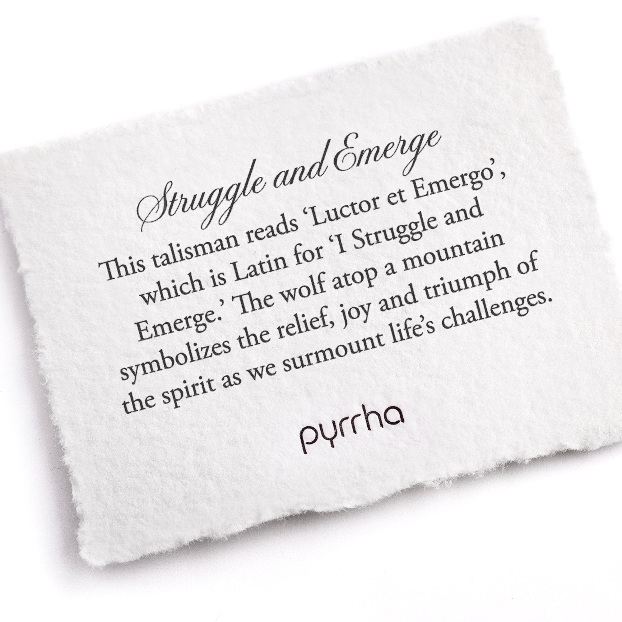 Bronze Talisman Necklace - Struggle & Emerge